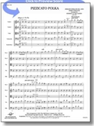 Pizzicato Polka by Strauss Johann and Josef - McCashin Robert D - for String Orchestra