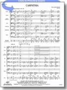 Carpathia by Owens William for String Orchestra
