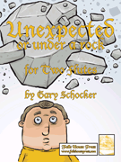 Unexpected Or Under A Rock by Schocker Gary for Flute Duet