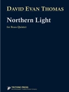 Northern Light by Thomas David Evan for