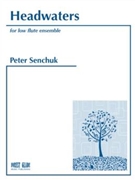 Headwaters by Senchuk Peter for