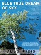 Blue True Dream of Sky