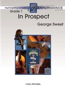 In Prospect by Sweet George for String Orchestra