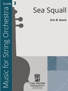 Sea Squall