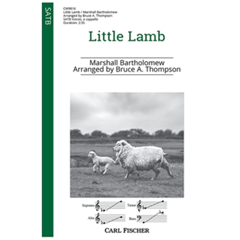 Little Lamb