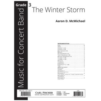 The Winter Storm