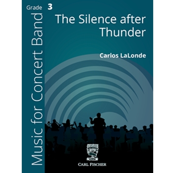 The Silence after Thunder