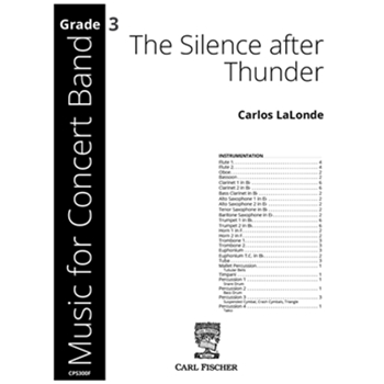The Silence after Thunder
