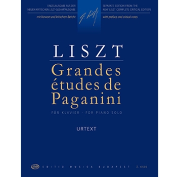 Grand Etudes after Paganini