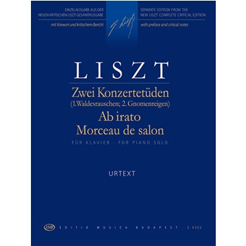 Two Concert Studies, Ab irato, Morceau de salon (Gnomenreigen, Waldesrauschen)