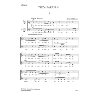 Tisza partjan