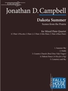 Dakota Summer Scenes from the Prairie by Campbell Jonathan for