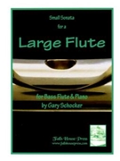 Small Sonata For A Large Flute by Schocker Gary for Bass Flute Solo