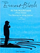 In the Mountains (Haute Savoie) by Bloch Ernest for