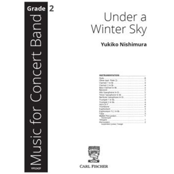 Under a Winter Sky