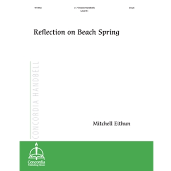 Reflection on Beach Spring