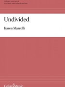 Undivided by Marrolli Karen for SSAA