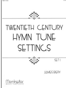Twentieth Century Hymn Tune Settings by Biery James - Biery James - for Organ