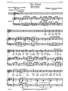 The Violet (Das Veilchen)