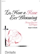Lo, How a Rose E'er Blooming