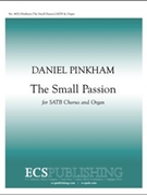 The Small Passion