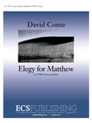 Elegy for Matthew