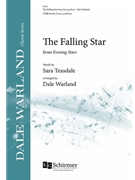 Falling Star, The: from Evening Stars