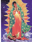 Our Lady of Guadalupe Postcard