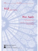 Rise Again