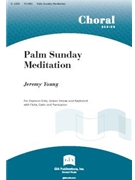 Palm Sunday Meditation - Instrument edition