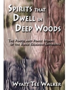 Spirits That Dwell in Deep Woods - Book with CD edition
