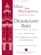 Drumsound Rises - Instrument edition