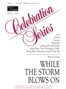 While the Storm Blows On - Guitar edition