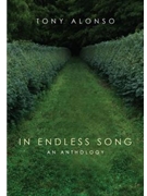 In Endless Song - Guitar edition