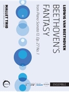 Beethoven's Fantasy - from Piano Sonata 13 Opus 27#1 by Beethoven Ludwig van - Slawson Brian - for Mallet Trio