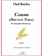Coasa (Harvest Time) by Vlad Burlea by Vlad Burlea for