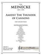 Amidst the Thunder of Cannons