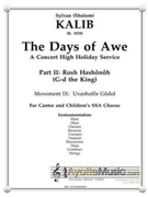 Days of Awe - 09 Uvashofor Godol