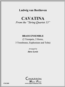 Cavatina by Beethoven Ludwig van - Lewis Steve - for Brass Ensemble
