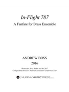 In flight 787 by Boss Andrew for