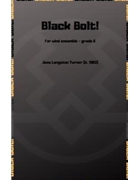 Black Bolt! by Turner Jess for