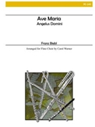 Ave Maria by Biebl Franz - Warner Carol - for