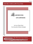 Labyrinths of Lowness by Molnar-Suhajda Alex for
