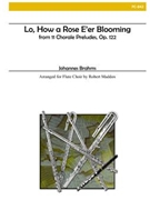 Lo How a Rose E'er Blooming by Brahms Johannes - Maddox Robert - for