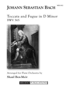 Toccata and Fugue in D Minor by Bach Johann Sebastian - Ben-Meir Shaul - for