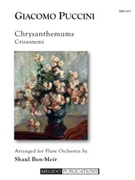Chrysanthemums by Puccini Giacomo - Ben-Meir Shaul - for
