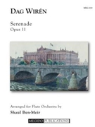 Serenade Op. 11 by Wiren Dag - Ben-Meir Shaul - for