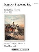 Radetzky March by Strauss Johann - Ben-Meir Shaul - for