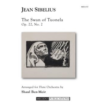 The Swan of Tuonela for Flute Orchestra