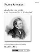 Andante con moto from Symphony No. 8 by Schubert Franz - Ben-Meir Shaul - for